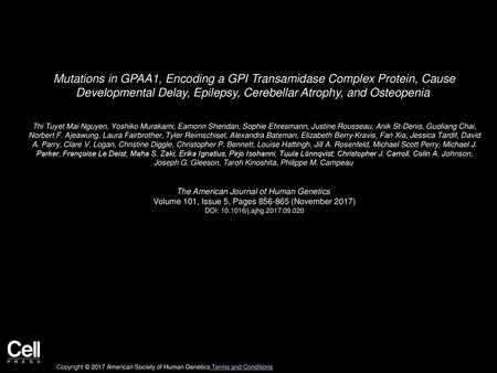 Mutations in GPAA1, Encoding a GPI Transamidase Complex Protein, Cause Developmental Delay, Epilepsy, Cerebellar Atrophy, and Osteopenia  Thi Tuyet Mai.