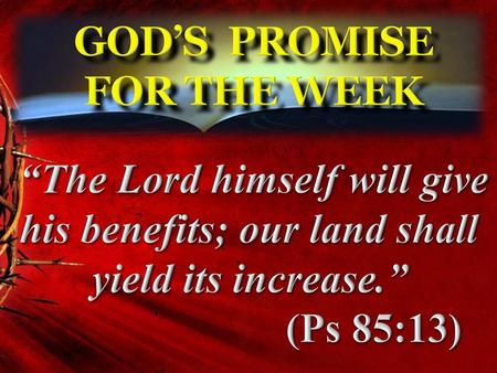 God’s Promise for the week