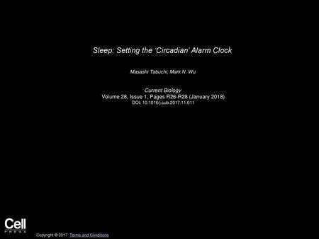 Sleep: Setting the ‘Circadian’ Alarm Clock