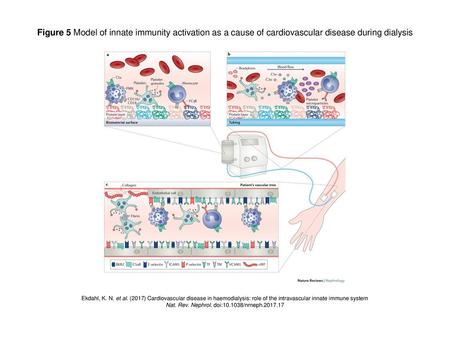 Nat. Rev. Nephrol. doi: /nrneph