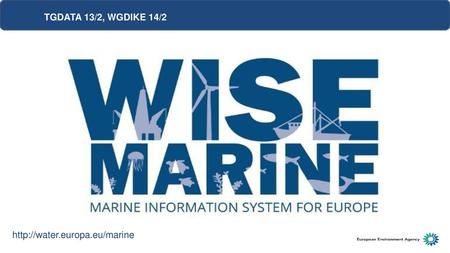 TGDATA 13/2, WGDIKE 14/2 http://water.europa.eu/marine Good afternoon everyone and thanks for the opportunity of presenting at this meeting the progress.