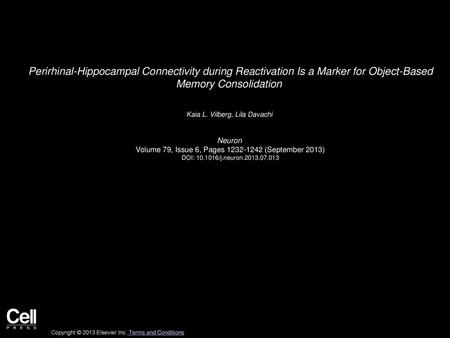 Perirhinal-Hippocampal Connectivity during Reactivation Is a Marker for Object-Based Memory Consolidation  Kaia L. Vilberg, Lila Davachi  Neuron  Volume.