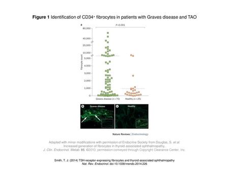 Nat. Rev. Endocrinol. doi: /nrendo