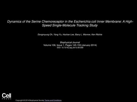 Dynamics of the Serine Chemoreceptor in the Escherichia coli Inner Membrane: A High- Speed Single-Molecule Tracking Study  Dongmyung Oh, Yang Yu, Hochan.