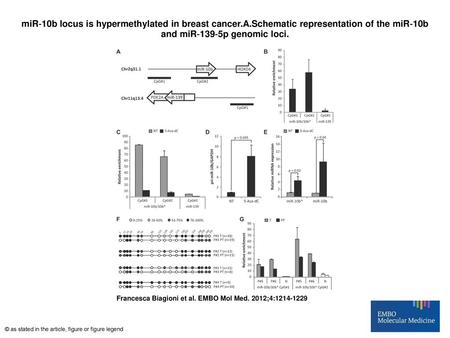 miR‐10b locus is hypermethylated in breast cancer. A