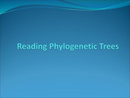 Reading Phylogenetic Trees