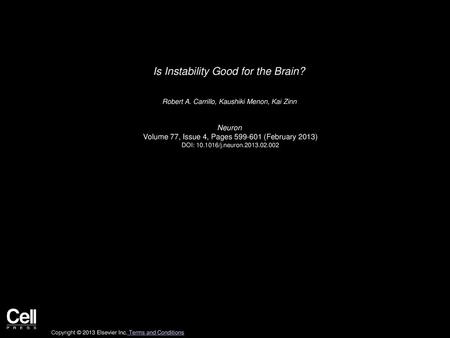 Is Instability Good for the Brain?