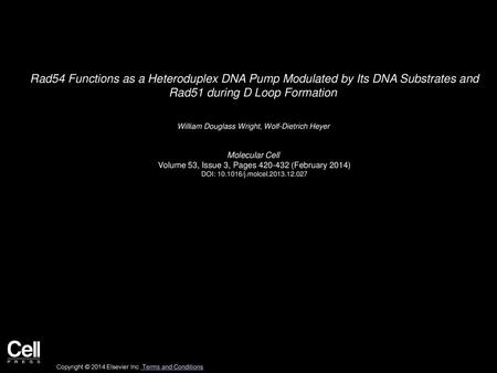 Rad54 Functions as a Heteroduplex DNA Pump Modulated by Its DNA Substrates and Rad51 during D Loop Formation  William Douglass Wright, Wolf-Dietrich Heyer 