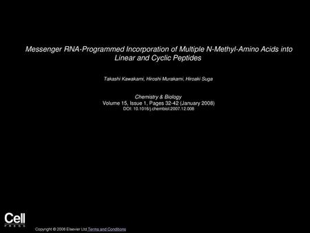 Messenger RNA-Programmed Incorporation of Multiple N-Methyl-Amino Acids into Linear and Cyclic Peptides  Takashi Kawakami, Hiroshi Murakami, Hiroaki Suga 