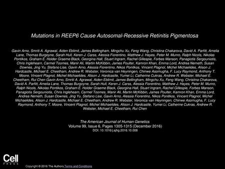 Mutations in REEP6 Cause Autosomal-Recessive Retinitis Pigmentosa