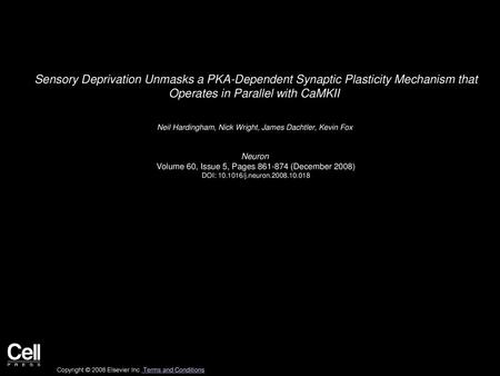 Sensory Deprivation Unmasks a PKA-Dependent Synaptic Plasticity Mechanism that Operates in Parallel with CaMKII  Neil Hardingham, Nick Wright, James Dachtler,