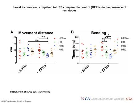 Larval locomotion is impaired in HRS compared to control (HFP/w) in the presence of nematodes. Larval locomotion is impaired in HRS compared to control.