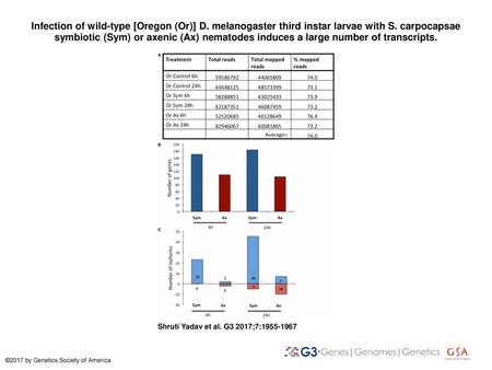 Infection of wild-type [Oregon (Or)] D