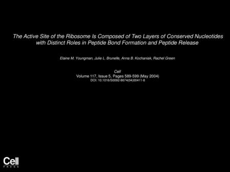 The Active Site of the Ribosome Is Composed of Two Layers of Conserved Nucleotides with Distinct Roles in Peptide Bond Formation and Peptide Release 