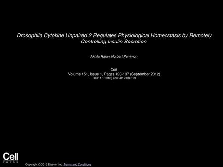 Drosophila Cytokine Unpaired 2 Regulates Physiological Homeostasis by Remotely Controlling Insulin Secretion  Akhila Rajan, Norbert Perrimon  Cell  Volume.