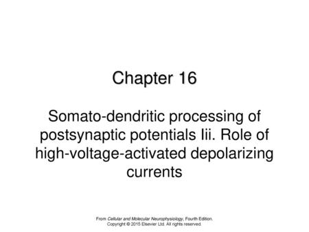 Chapter 16 Somato-dendritic processing of postsynaptic potentials Iii