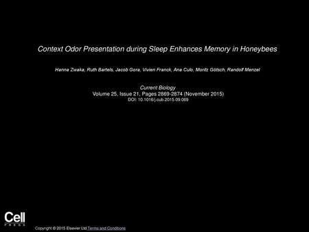 Context Odor Presentation during Sleep Enhances Memory in Honeybees