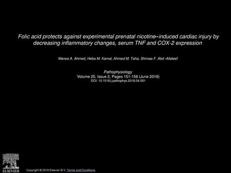 Folic acid protects against experimental prenatal nicotine–induced cardiac injury by decreasing inflammatory changes, serum TNF and COX-2 expression 