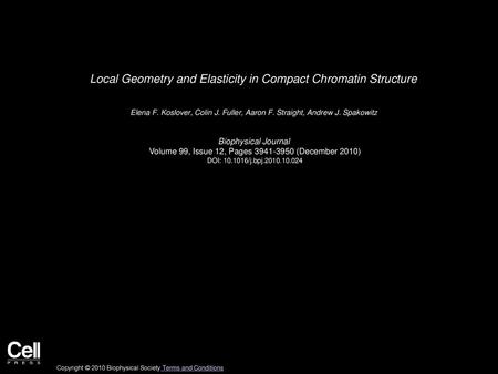 Local Geometry and Elasticity in Compact Chromatin Structure