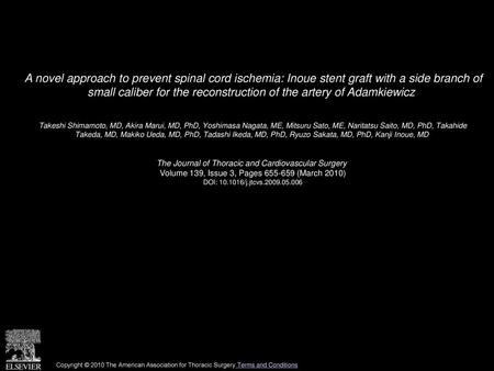 A novel approach to prevent spinal cord ischemia: Inoue stent graft with a side branch of small caliber for the reconstruction of the artery of Adamkiewicz 