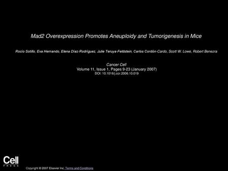 Mad2 Overexpression Promotes Aneuploidy and Tumorigenesis in Mice