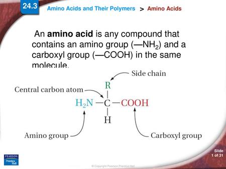 Amino Acids An amino acid is any compound that contains an amino group (—NH2) and a carboxyl group (—COOH) in the same molecule.