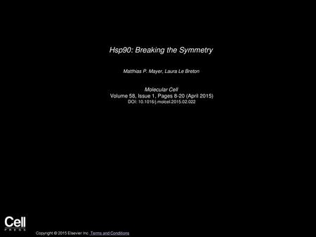 Hsp90: Breaking the Symmetry