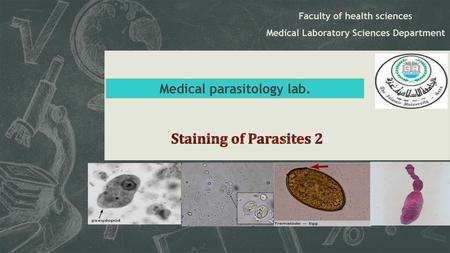 Staining of Parasites 2 Medical parasitology lab. Subtitle