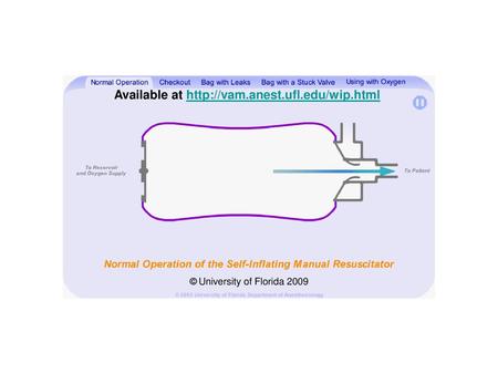 Available at http://vam.anest.ufl.edu/wip.html © University of Florida 2009.