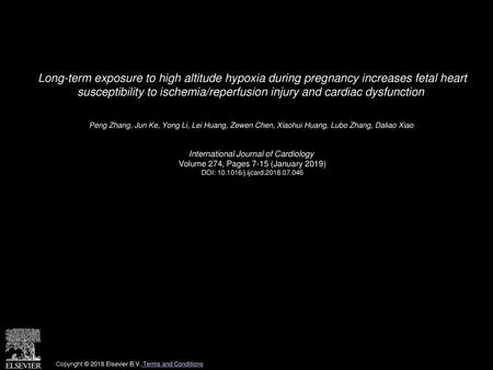 Long-term exposure to high altitude hypoxia during pregnancy increases fetal heart susceptibility to ischemia/reperfusion injury and cardiac dysfunction 