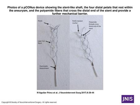 Photos of a pCONus device showing the stent-like shaft, the four distal petals that rest within the aneurysm, and the polyamide fibers that cross the distal.