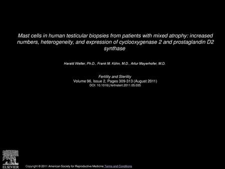 Mast cells in human testicular biopsies from patients with mixed atrophy: increased numbers, heterogeneity, and expression of cyclooxygenase 2 and prostaglandin.