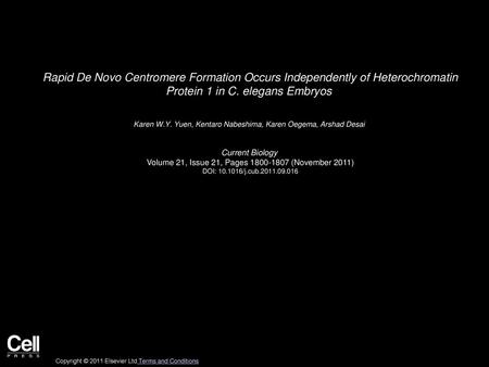 Rapid De Novo Centromere Formation Occurs Independently of Heterochromatin Protein 1 in C. elegans Embryos  Karen W.Y. Yuen, Kentaro Nabeshima, Karen.