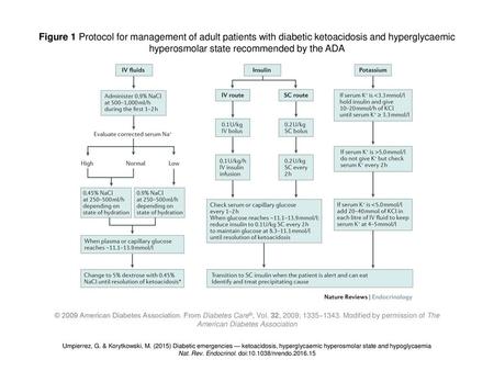 Nat. Rev. Endocrinol. doi: /nrendo