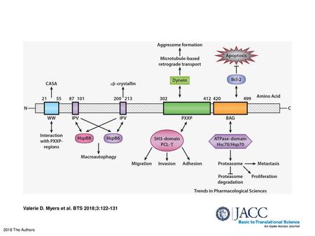 Valerie D. Myers et al. BTS 2018;3: