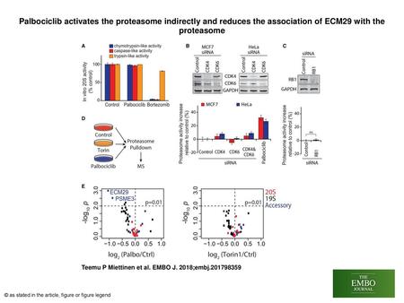 Palbociclib activates the proteasome indirectly and reduces the association of ECM29 with the proteasome Palbociclib activates the proteasome indirectly.