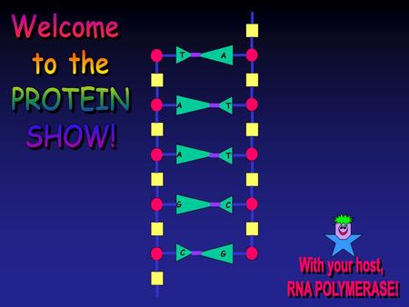 Welcome to the PROTEIN SHOW! T A G C With your host, RNA POLYMERASE!