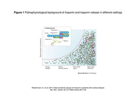 Nat. Rev. Cardiol. doi: /nrcardio