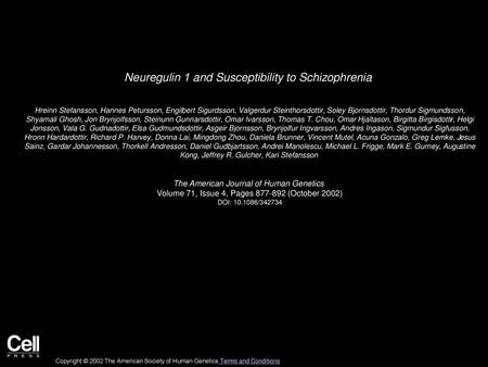 Neuregulin 1 and Susceptibility to Schizophrenia