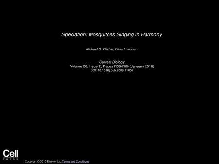 Speciation: Mosquitoes Singing in Harmony