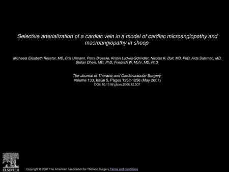 Selective arterialization of a cardiac vein in a model of cardiac microangiopathy and macroangiopathy in sheep  Michaela Elisabeth Resetar, MD, Cris Ullmann,