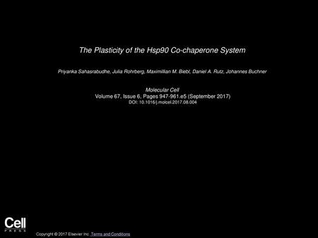 The Plasticity of the Hsp90 Co-chaperone System