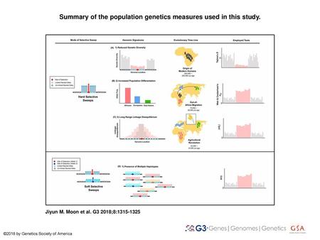 Summary of the population genetics measures used in this study.