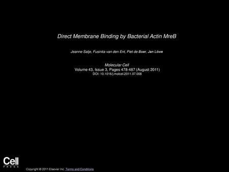 Direct Membrane Binding by Bacterial Actin MreB