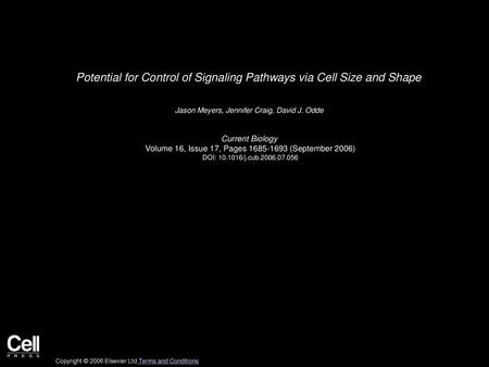 Potential for Control of Signaling Pathways via Cell Size and Shape