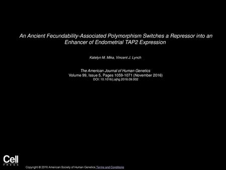 An Ancient Fecundability-Associated Polymorphism Switches a Repressor into an Enhancer of Endometrial TAP2 Expression  Katelyn M. Mika, Vincent J. Lynch 