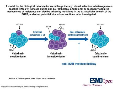 A model for the biological rationale for rechallenge therapy: clonal selection in heterogeneous baseline RAS a wt tumours during anti-EGFR therapy. aAdditional.