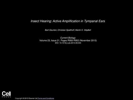 Insect Hearing: Active Amplification in Tympanal Ears