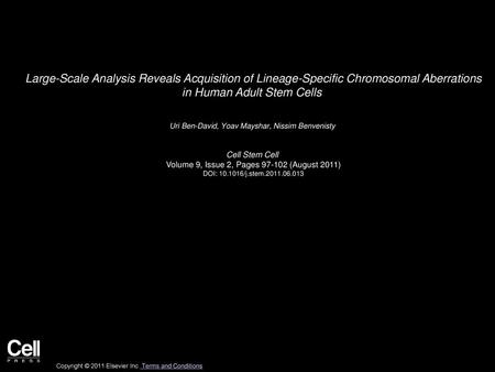 Large-Scale Analysis Reveals Acquisition of Lineage-Specific Chromosomal Aberrations in Human Adult Stem Cells  Uri Ben-David, Yoav Mayshar, Nissim Benvenisty 