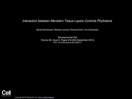 Interaction between Meristem Tissue Layers Controls Phyllotaxis